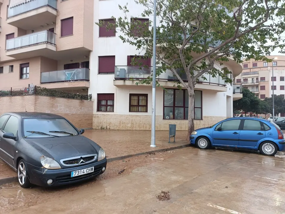 WhatsApp Image 2024-10-31 at 12.14.49