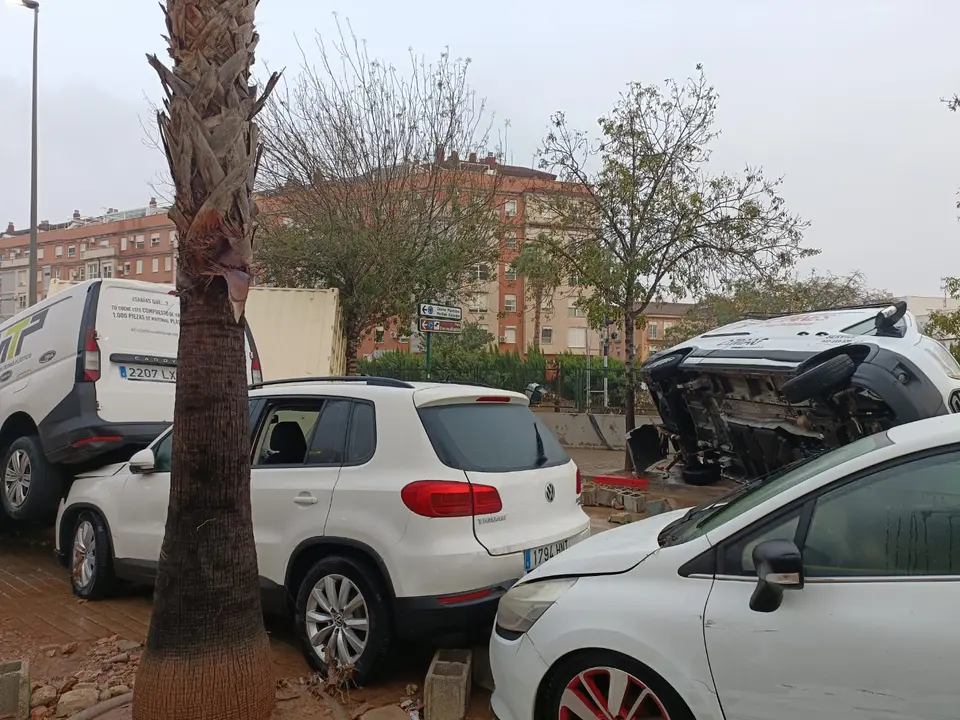 WhatsApp Image 2024-10-31 at 12.14.48 (5)