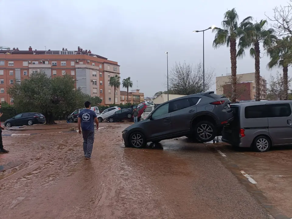 WhatsApp Image 2024-10-31 at 12.14.49 (1)