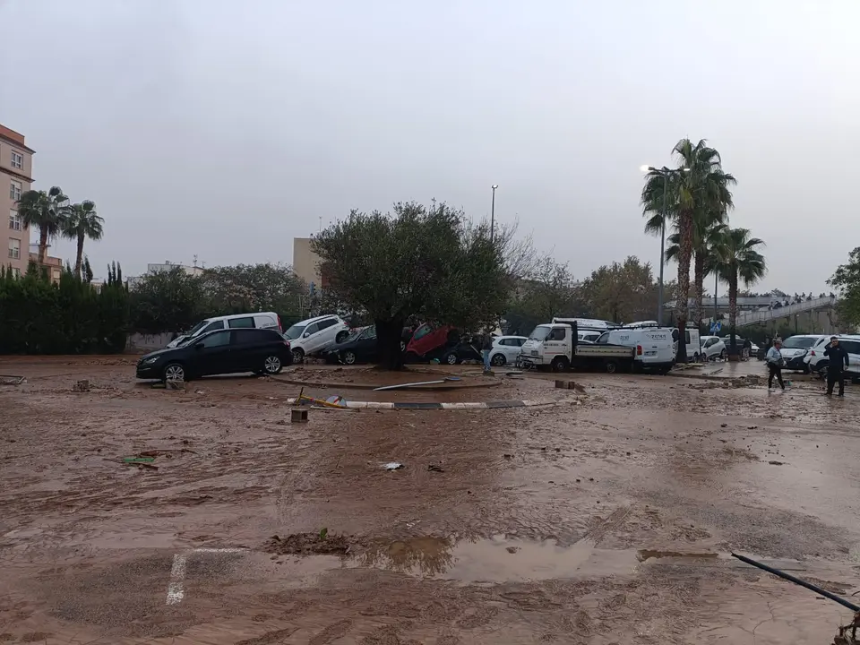 WhatsApp Image 2024-10-31 at 12.14.49 (2)