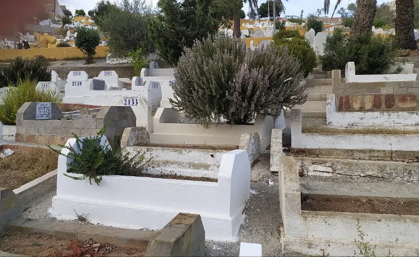 sidi ok