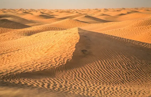 desert-2499010_640 (1)