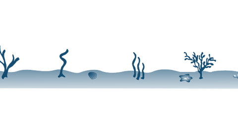 corals-g2d82fa622_640