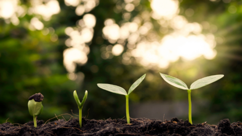 Diseno_sin_titulo__9__cropped_170_297_752x487_850x550