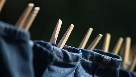 clothes-pins-8281931_640