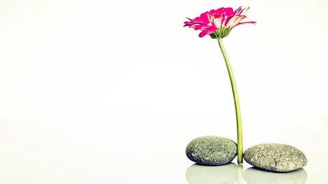 flor