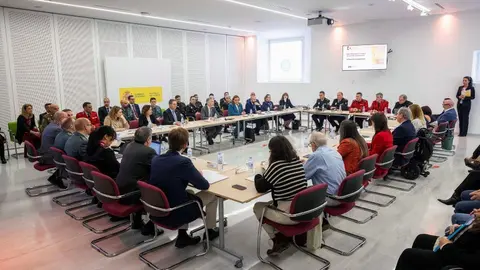 250317 mir_IV_Comisión_Seguimiento_Plan_Desaparecidos 04 950 