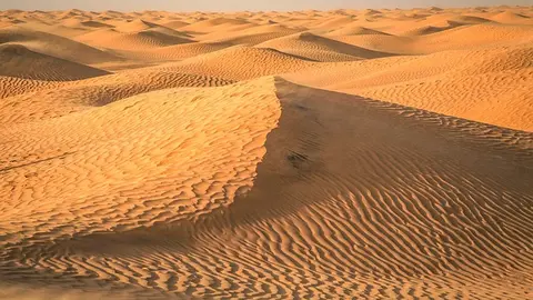 desert-2499010_640 (1)