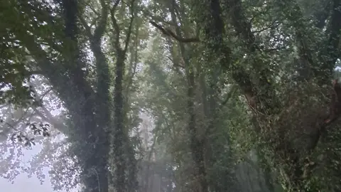 Caminante no hay camino, se hace camino al andar