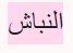 ahmed